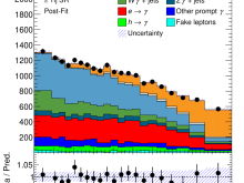 single top photon